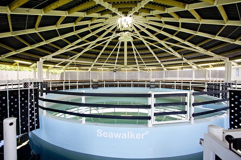 Interior of a Seawalker horse water walker