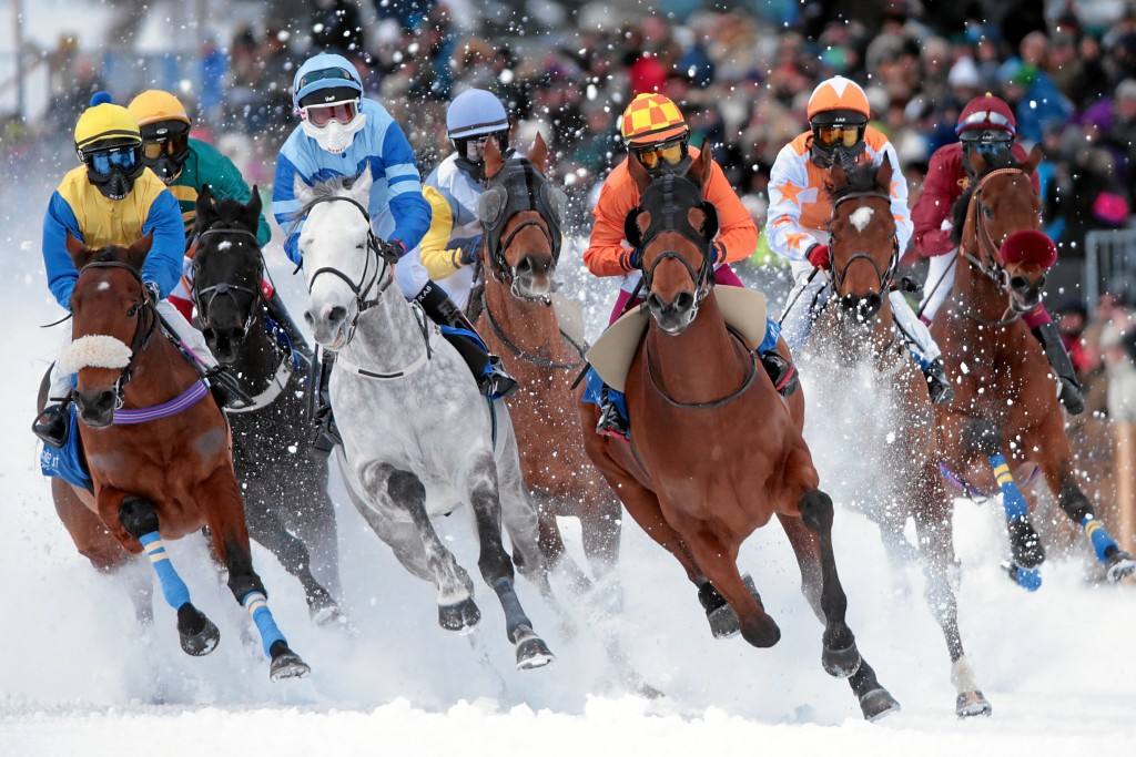 Seven horses and jockeys racing in the snow