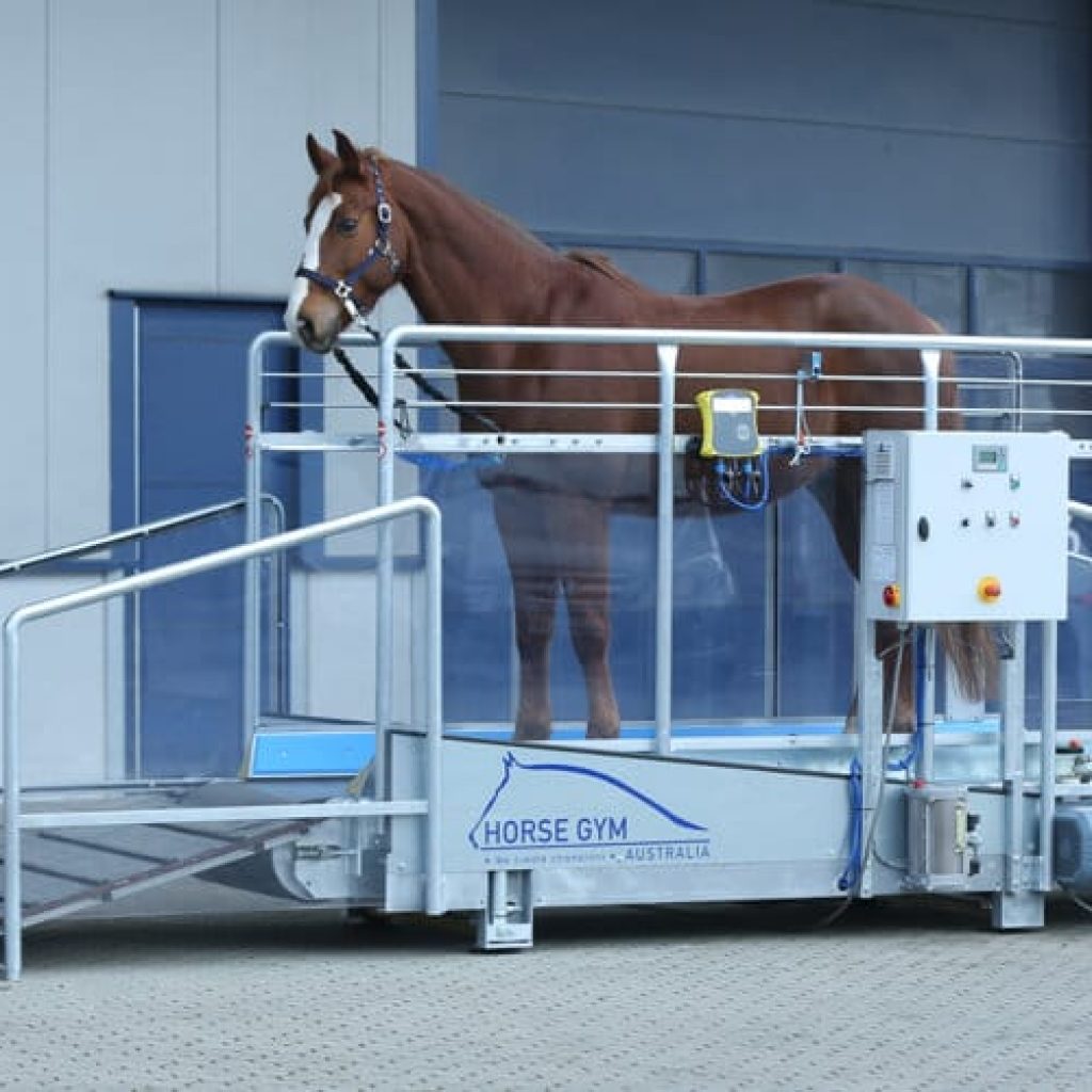 A horse standing in a Horse Gym 2000 equine treadmill