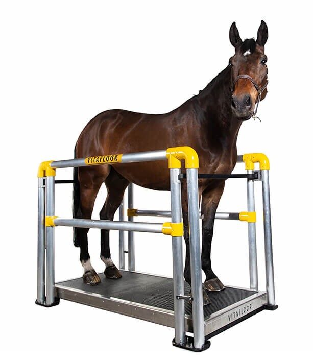 A Vitafloor vibrating floor system mobile version with side bars and safety click system